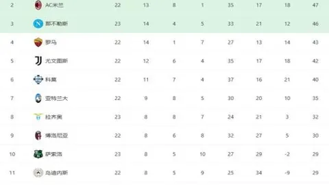 韩国羽协主席遭解雇兼涉贪调查，安洗莹犀利指责——澎湃新闻