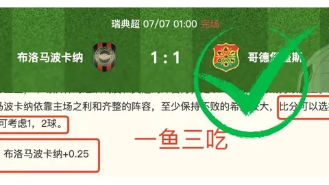 推荐 足球攻略周日204瑞典超前瞻：哈姆斯塔德对决赫根，2026赛季不容错过的精彩对碰